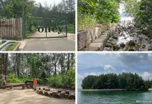 10+ Things You Need to Know Before Visiting Coney Island Park