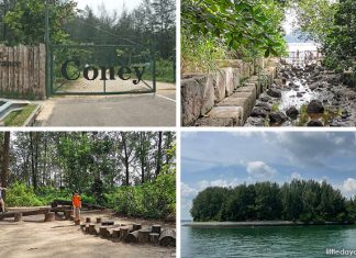 10+ Things You Need to Know Before Visiting Coney Island Park 10+ Things You Need to Know Before Visiting Coney Island Park