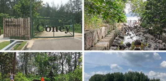 10+ Things You Need to Know Before Visiting Coney Island Park