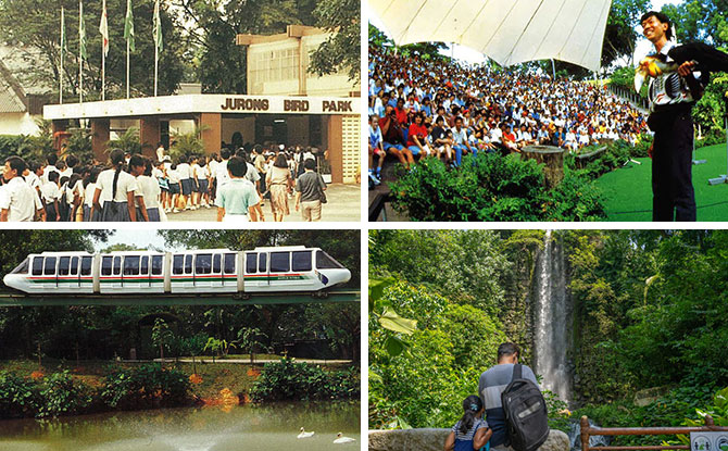 Jurong Bird Park Set To Close After 52 Year On 3 Jan 2023: Go On A Flight To Remember