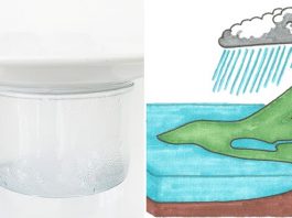 Science Sunday: Rain In A Glass