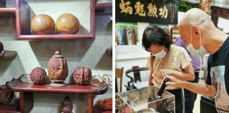 Seed Carving & Heritage Museum: A Cultural Collection Capturing The Past