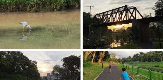 Ulu Pandan Park Connector: Scenic Route Along The Sungei Pandan Canal