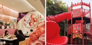 Beauty In The Pot KINEX: Why We Love It & Its Huge Playground