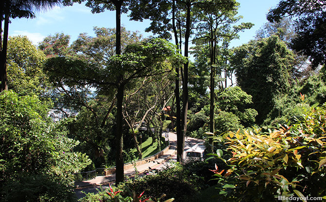 Mount Faber Road