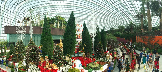 Christmas Toyland