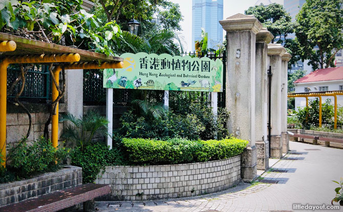 Hong Kong Zoological And Botanical Gardens: A Walk In The Park (With Animals!) e01-Hong-Kong-Zoo