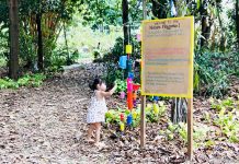 Nature Playgarden in HortPark