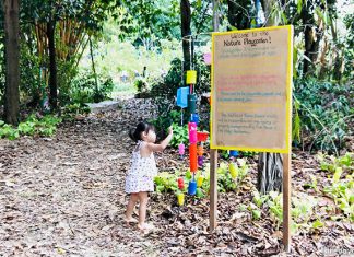 NParks’ Biophilic Playground: Nature Playgarden in HortPark Nature Playgarden in HortPark
