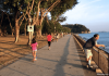 Labrador Nature Park: One Park, Two Worlds & Keppel Coastal Trail