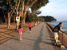 Labrador Nature Park: One Park, Two Worlds & Keppel Coastal Trail