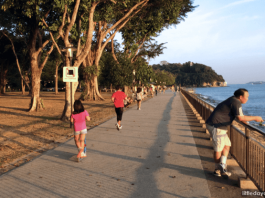 Labrador Nature Reserve: One Park, Two Worlds