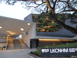 e01-LeeKongChian-NaturalHistoryMuseum
