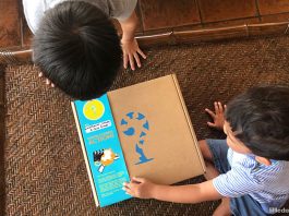 Curious Kits Review: Fun And Practical Ways To Learn About STEM Topics