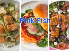 e01-PInk-fish