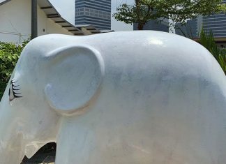 White Elephant Spotted: Make Your Mark On Shelley At Playeum From 4 To 5 October 2019 e01-PLAYEUM7