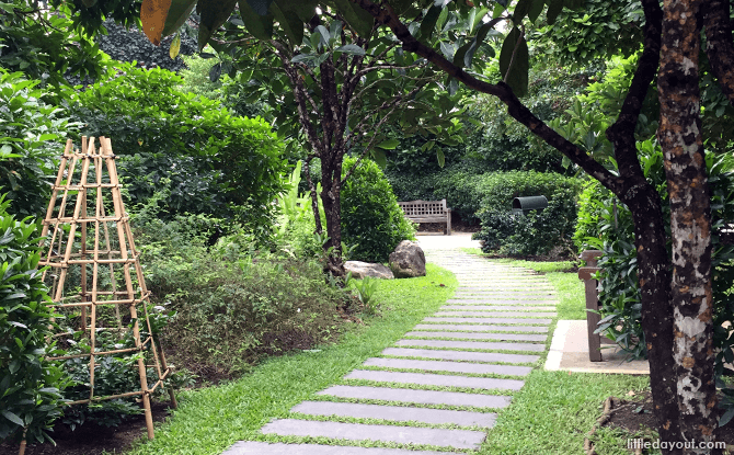 Inside the quaint Fragrant Garden at Singapore Botanic Gardens