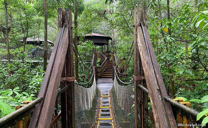 Jurong Bird Park African Treetops