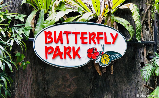Butterfly Park & Insect Kingdom e01-butterfly-park-insect-kingdom