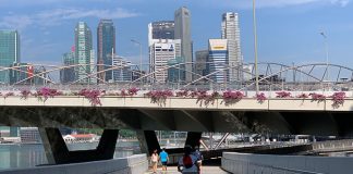 Little Stories: Helix Bridge – Inspired By DNA