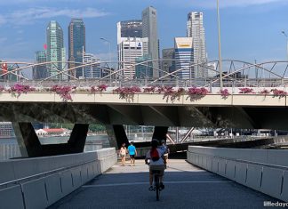 Little Stories: Helix Bridge – Inspired By DNA Little Stories: Helix Bridge – Inspired By DNA