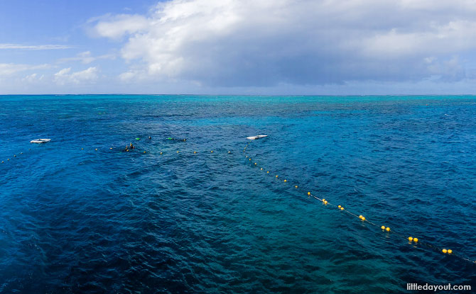 Great Barrier Reef, Queensland, Australia