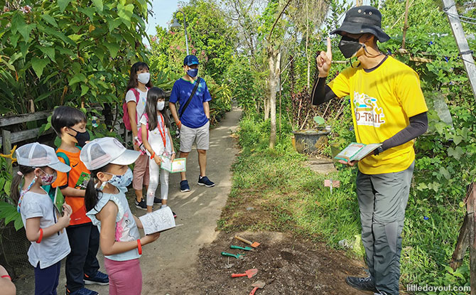 Family Review: EcoTrail At Lorong Chencharu, Wonderful Nature Experience For Kids