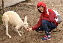 Visiting Perth, Australia: Kangaroo Dreams