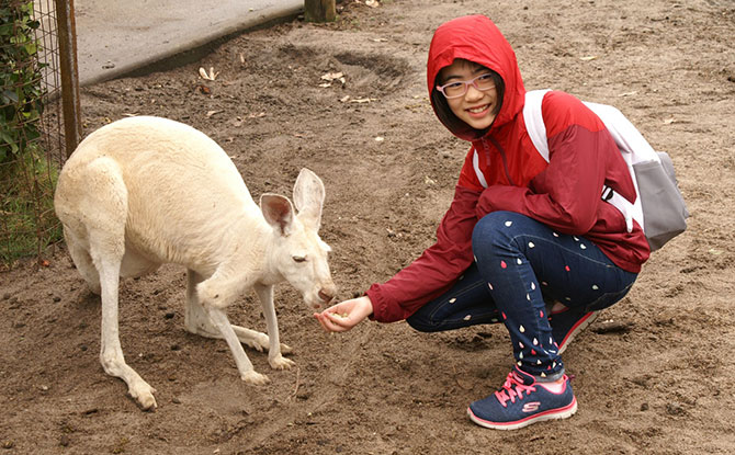 e01-esther-bau Visiting Perth, Australia: Kangaroo Dreams