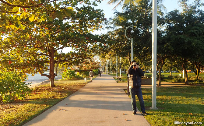 Walk down Cairns Esplanade