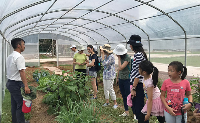 Green Explorer Adventure – Fun Outdoors for the Autumn Break at City Sprouts Urban Farm