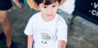e01-jurong-frog-farm