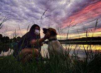 Bite-sized Parenting: A Psychiatrist Shares On Mental Health And Coping In Times Of Crisis Lessons Learnt: A Psychiatrist Shares On Mental Health And Coping In Times Of Crisis