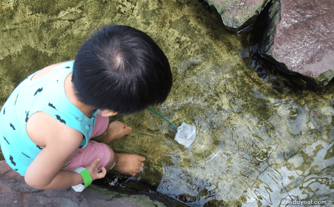 Where to go longkang fishing in Singapore