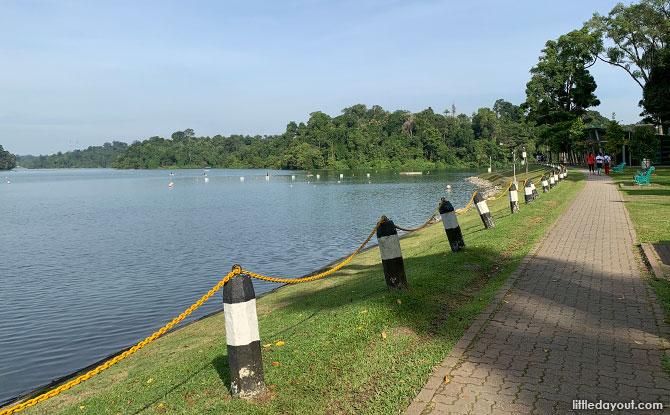 Walk the MacRitchie Reservoir Trail