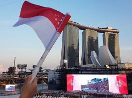 Bite-Sized Parenting: Embracing Our National Identity