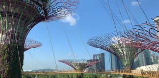 OCBC Skyway At Gardens By The Bay: Elevated Walk Amongst The Supertrees