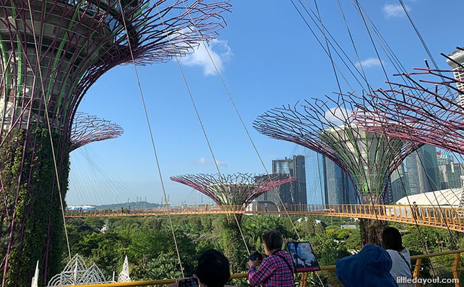 OCBC Skyway At Gardens By The Bay: Elevated Walk Amongst The Supertrees