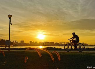 Visiting Pandan Reservoir: Leisure Spot With Tranquil Waters & 6 KM Plus Trail In The West