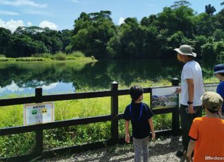 Pekan Quarry At Pulau Ubin: Visiting The Former Ho Man Choo Quarry Pekan Quarry At Pulau Ubin: Visiting The Former Ho Man Choo Quarry