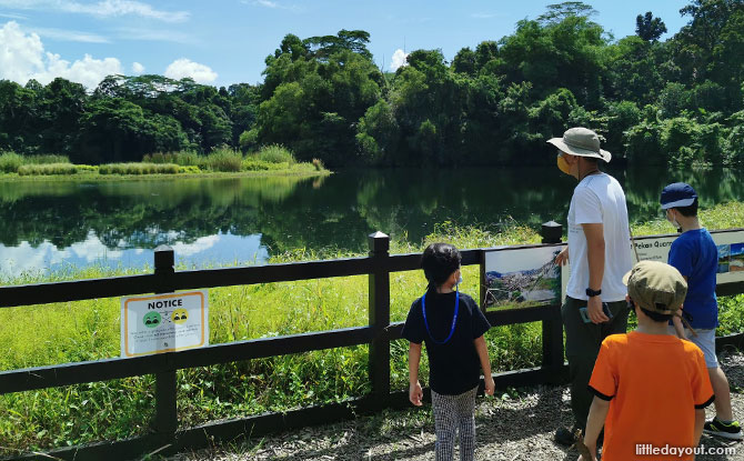 Pekan Quarry At Pulau Ubin: Visiting The Former Ho Man Choo Quarry