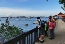 Pesta Ubin 2025: 10 Highlights At The Pulau Ubin Open House From 14 To 28 Jun