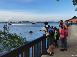 Pesta Ubin 2025: 10 Highlights At The Pulau Ubin Open House From 14 To 28 Jun