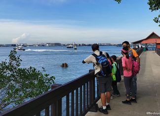 Pesta Ubin 2025: 10 Highlights At The Pulau Ubin Open House From 14 To 28 Jun