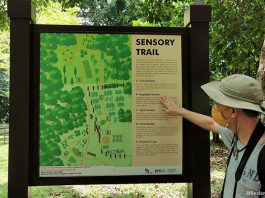 Pulau Ubin Sensory Trail: Revisiting The Island Past Through The Senses