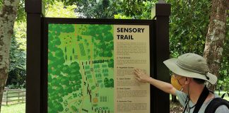 Pulau Ubin Sensory Trail: Revisiting The Island Past Through The Senses