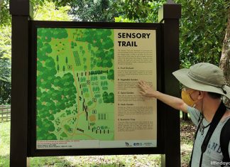 Pulau Ubin Sensory Trail: Revisiting The Island Past Through The Senses