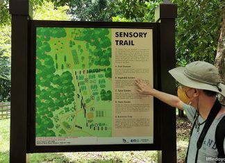 Pulau Ubin Sensory Trail: Revisiting The Island Past Through The Senses