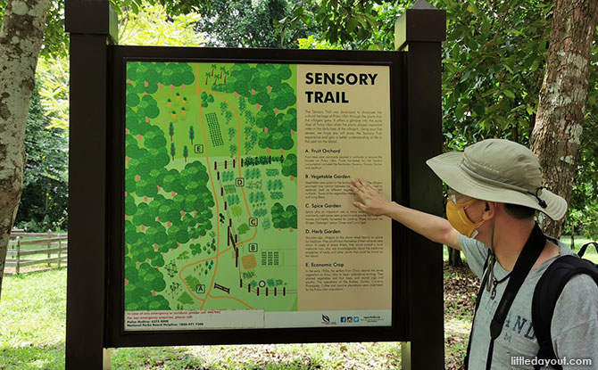 Pulau Ubin Sensory Trail: Revisiting The Island Past Through The Senses