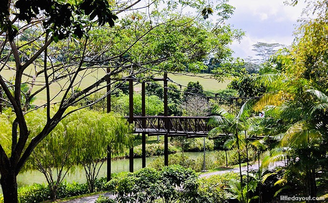 Punggol's Waterways